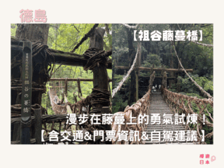 德島秘境探險｜漫步在藤蔓上的勇氣試煉！—— 祖谷藤蔓橋【含交通&門票資訊&自駕建議】 - 四國自駕, 大自然景點, 德島景點, 日本, 日本自駕, 自駕遊