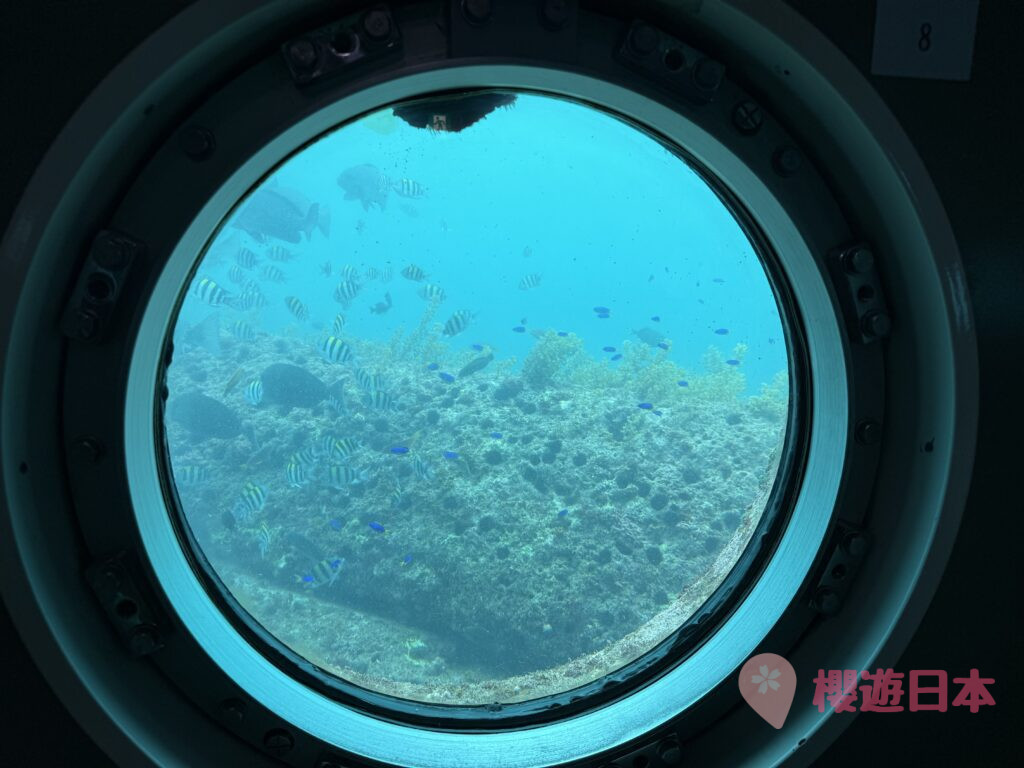 高知景點推薦｜深入海底的夢幻體驗！——「足摺海底館」【參觀心得＆交通資訊】 - 四國自駕, 大自然景點, 水族館, 自駕遊, 高知景點