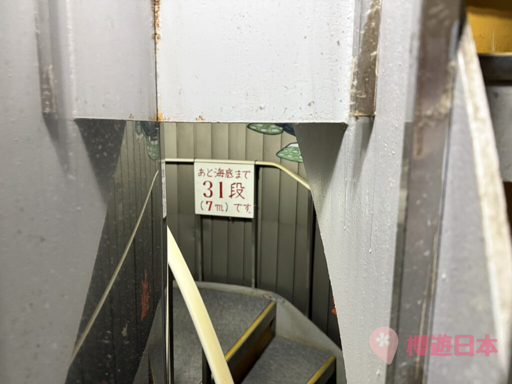 高知景點推薦｜深入海底的夢幻體驗！——「足摺海底館」【參觀心得＆交通資訊】 - 四國自駕, 大自然景點, 水族館, 自駕遊, 高知景點