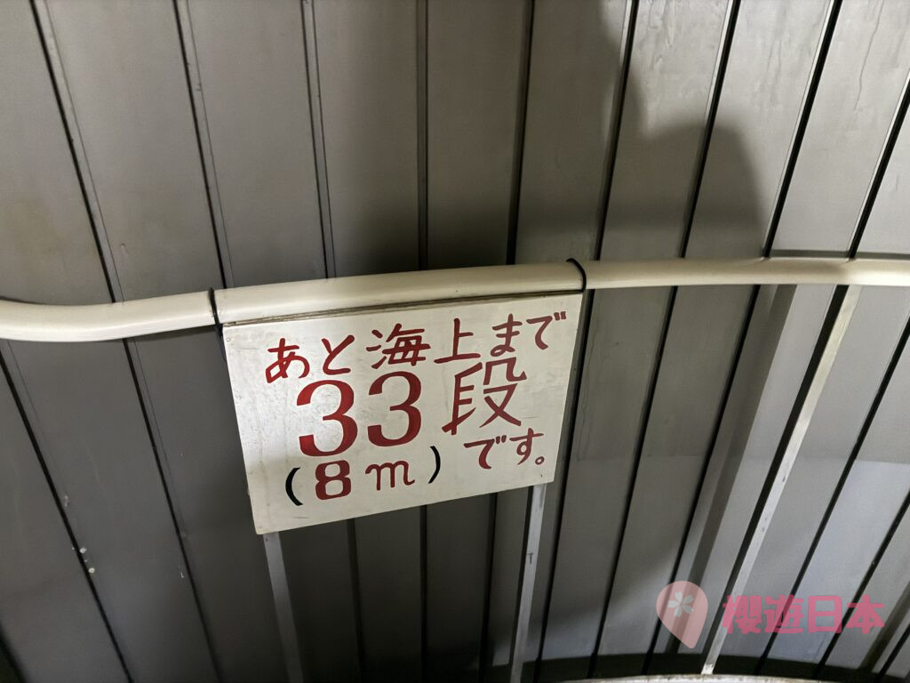 高知景點推薦｜深入海底的夢幻體驗！——「足摺海底館」【參觀心得＆交通資訊】 - 四國自駕, 大自然景點, 水族館, 自駕遊, 高知景點