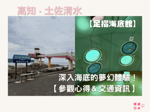 高知景點推薦｜深入海底的夢幻體驗！——「足摺海底館」【參觀心得＆交通資訊】 - 四國