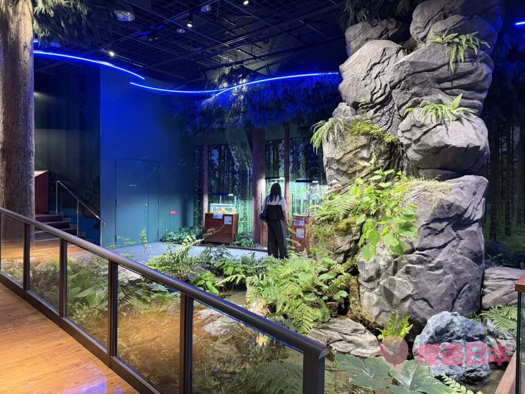 福岡水族館推薦|海洋世界海中道怎麼去?交通・票價・參觀重點一篇看懂 - 一日遊, 水族館, 福岡, 親子