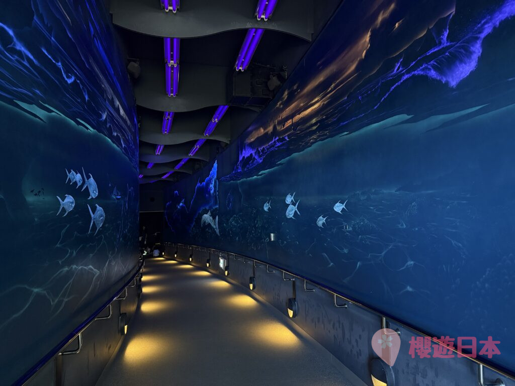 福岡水族館推薦|海洋世界海中道怎麼去?交通・票價・參觀重點一篇看懂 - 一日遊, 水族館, 福岡, 親子