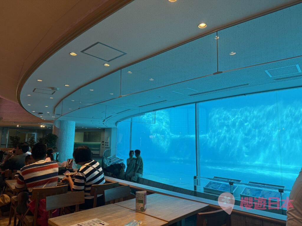 福岡水族館推薦|海洋世界海中道怎麼去?交通・票價・參觀重點一篇看懂 - 一日遊, 水族館, 福岡, 親子