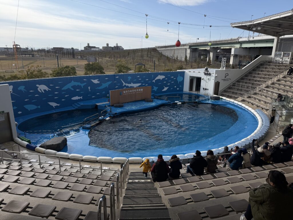 仙台好去處【仙台海洋森林水族館】｜完整攻略 (附交通、門票、必看亮點) - 一日遊, 仙台, 懶人包, 水族館