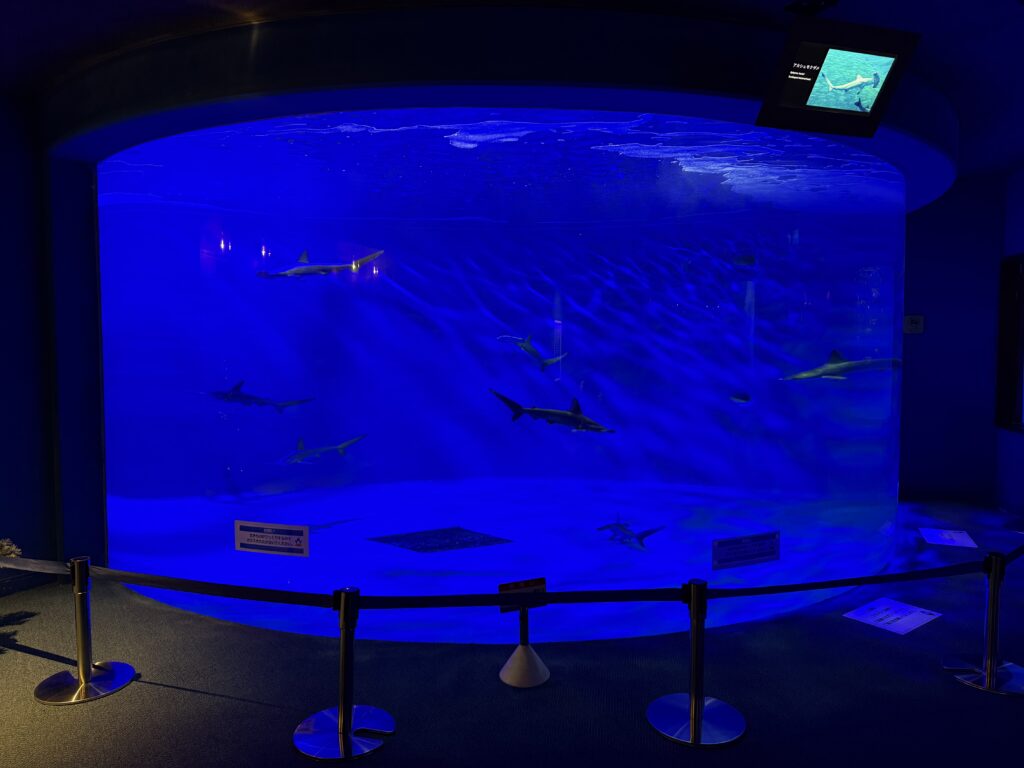 仙台好去處【仙台海洋森林水族館】｜完整攻略 (附交通、門票、必看亮點) - 一日遊, 仙台, 懶人包, 水族館