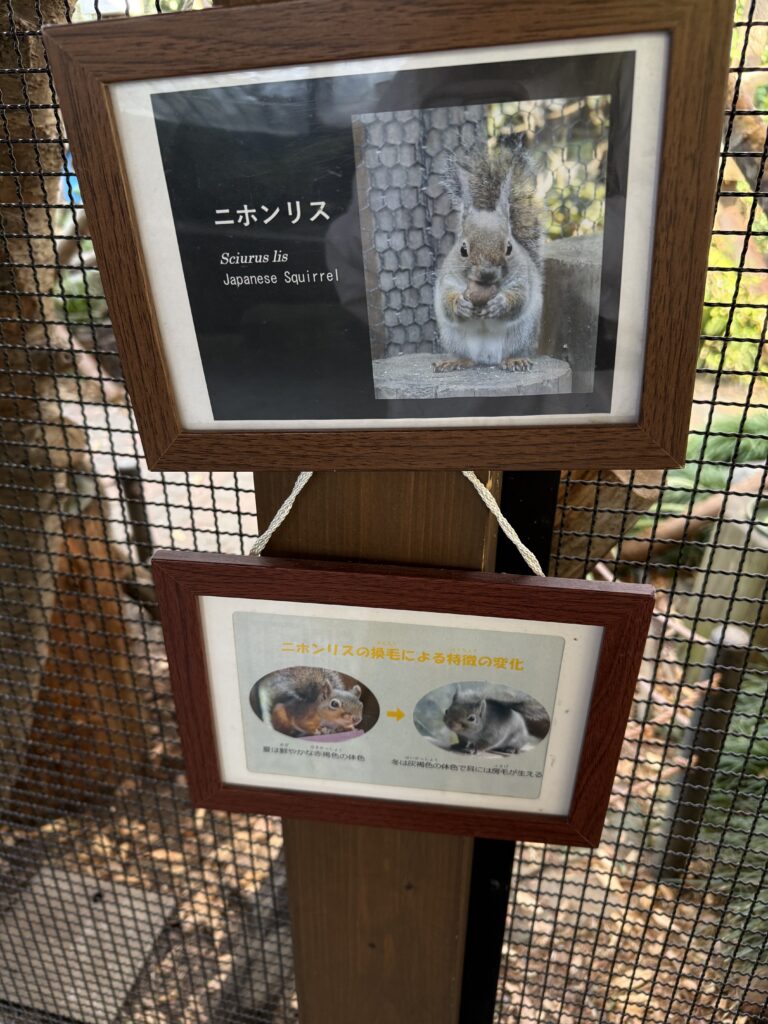 仙台好去處【仙台海洋森林水族館】｜完整攻略 (附交通、門票、必看亮點) - 一日遊, 仙台, 懶人包, 水族館