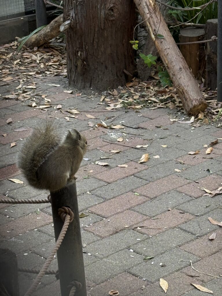 仙台好去處【仙台海洋森林水族館】｜完整攻略 (附交通、門票、必看亮點) - 一日遊, 仙台, 懶人包, 水族館