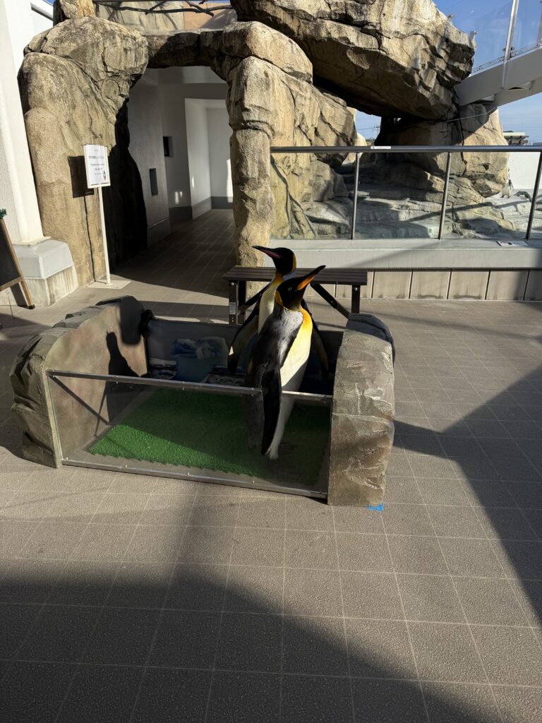 仙台好去處【仙台海洋森林水族館】｜完整攻略 (附交通、門票、必看亮點) - 一日遊, 仙台, 懶人包, 水族館