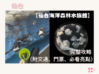 仙台好去處【仙台海洋森林水族館】｜完整攻略 (附交通、門票、必看亮點) - 一日遊, 仙台, 懶人包, 水族館