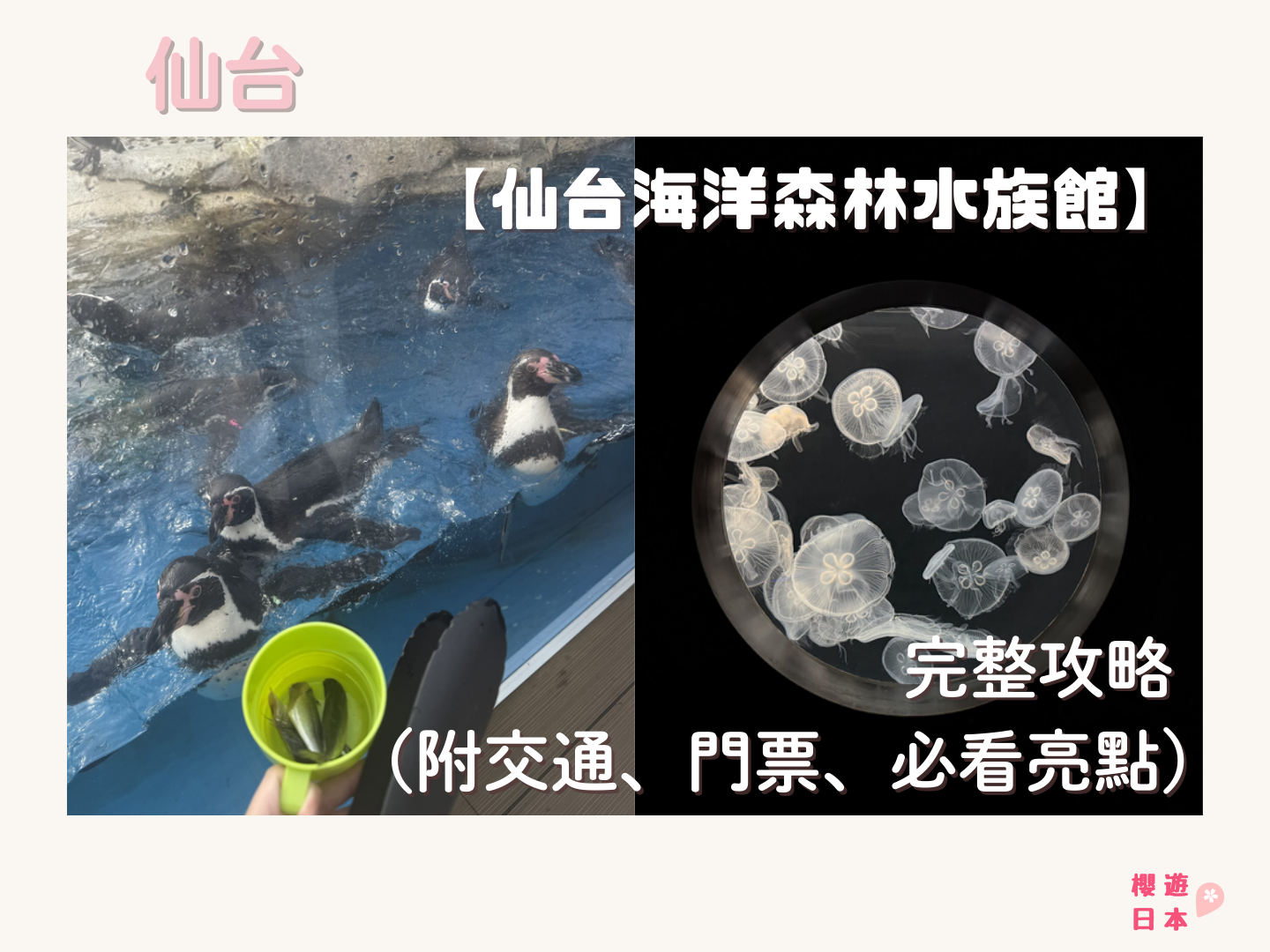 仙台好去處【仙台海洋森林水族館】｜完整攻略 (附交通、門票、必看亮點) - 一日遊, 仙台, 懶人包, 水族館